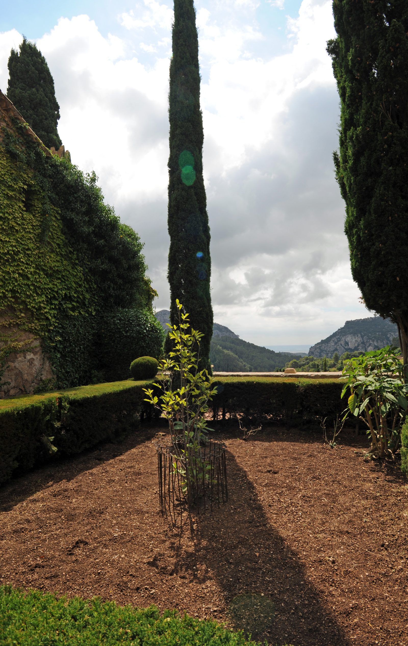 Valldemossa Charterhouse Gardens