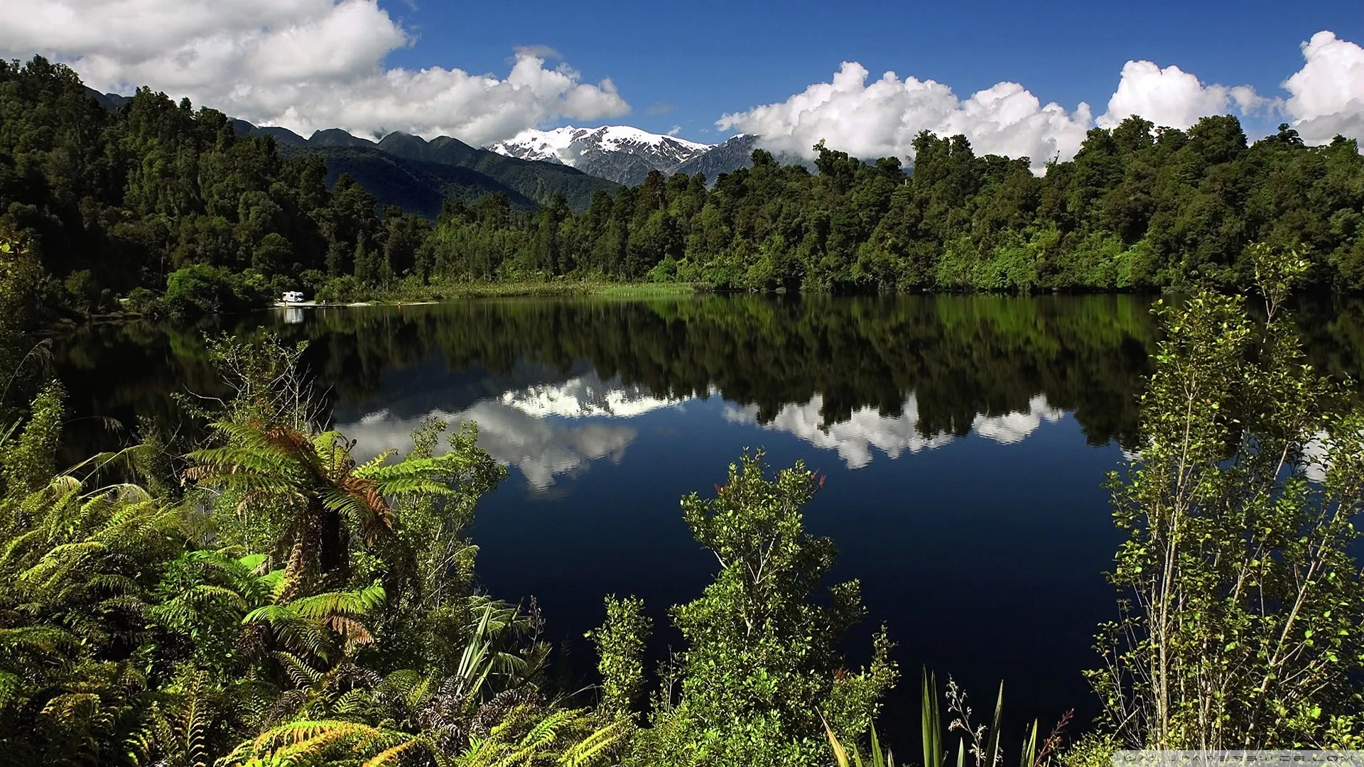 Rainforest Bank
