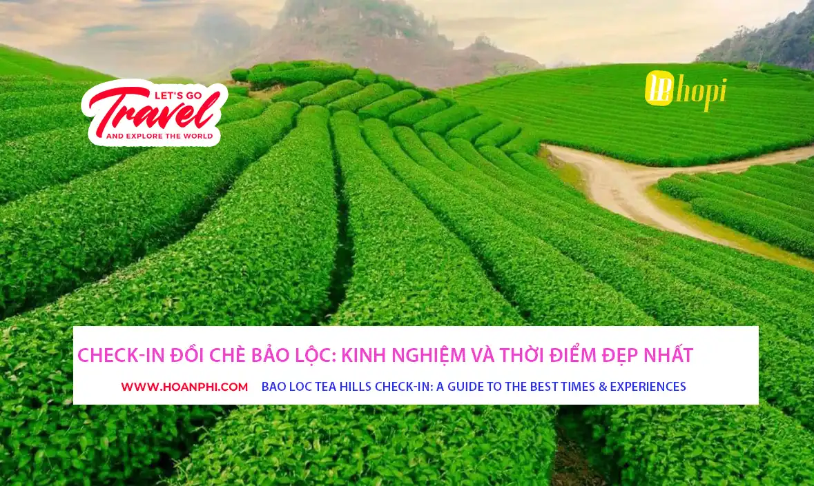 Tea Hill Plantation Bao Loc