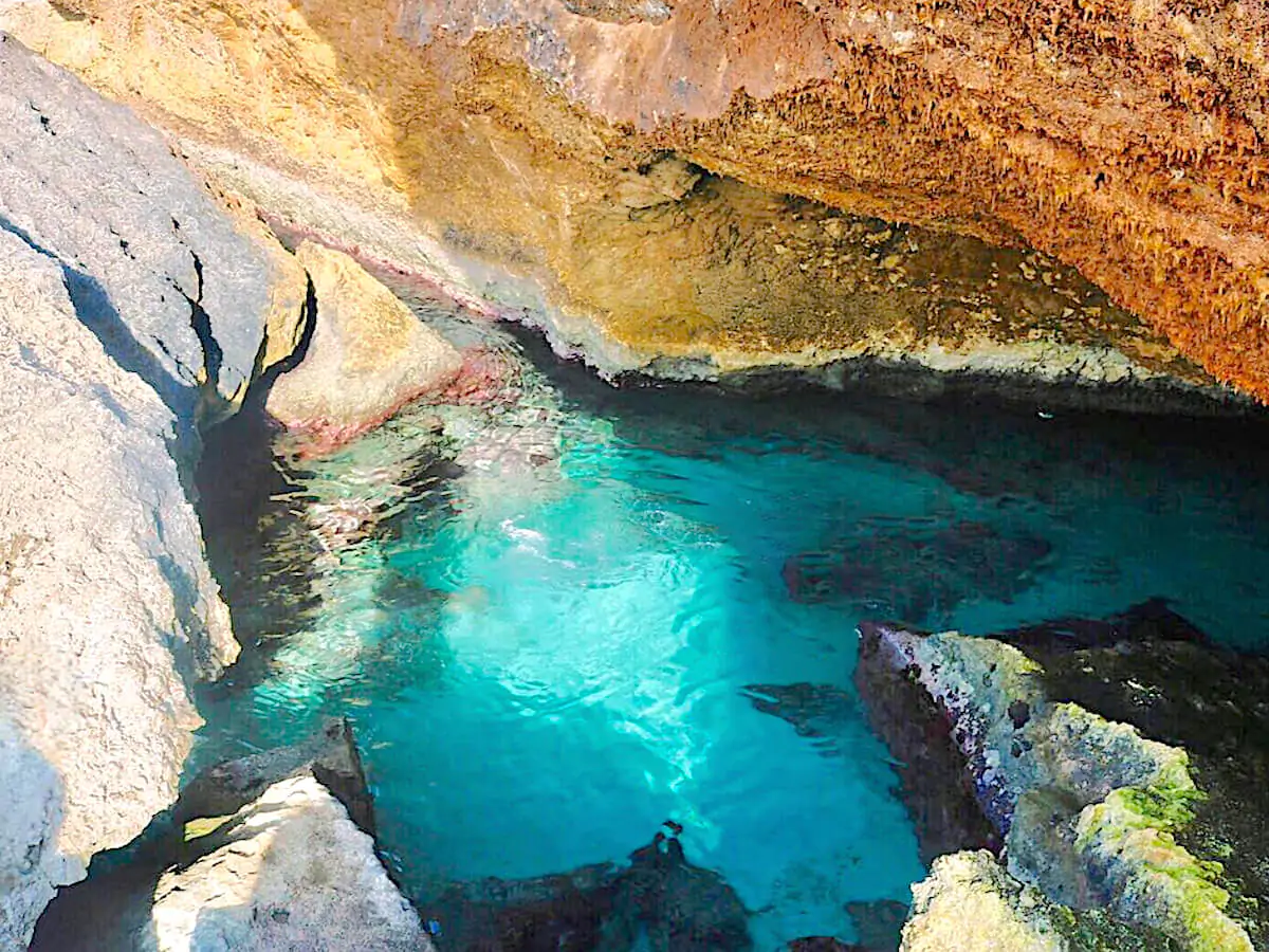 Marine Wildlife Pools