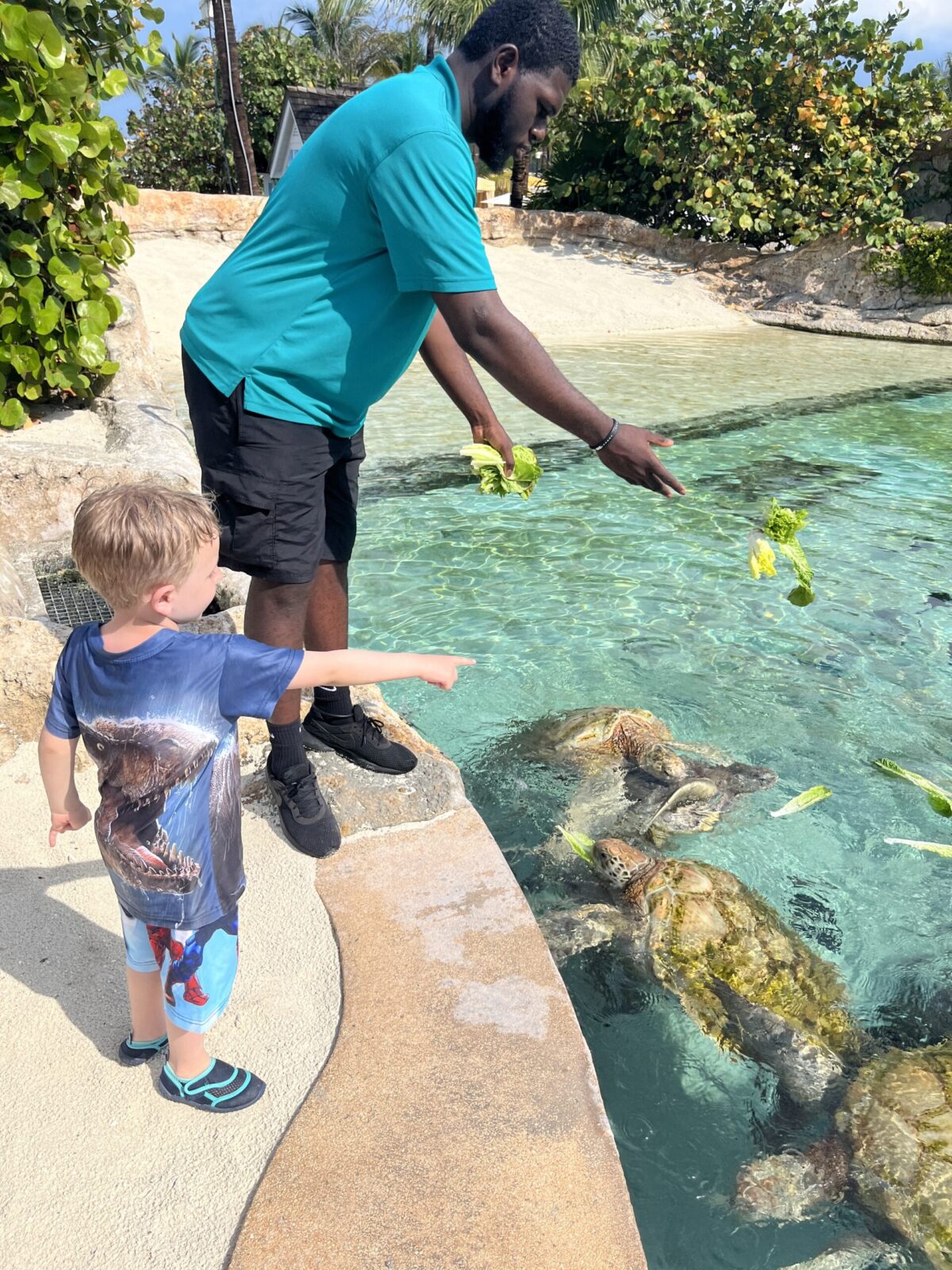 Sanctuary Feeding Pool