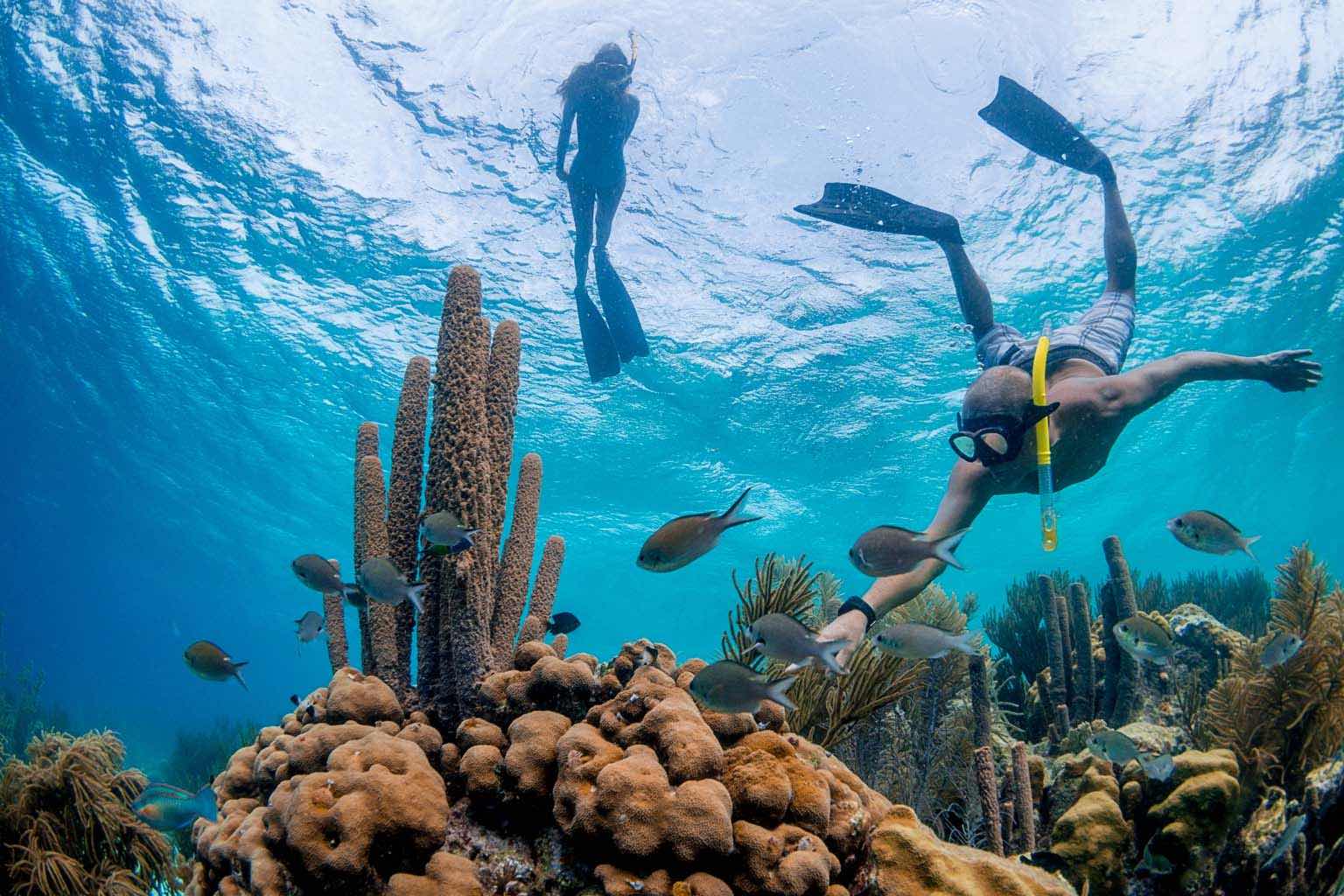 Klein Bonaire