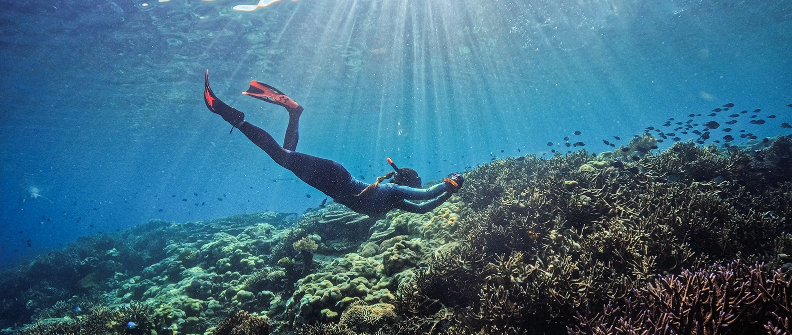 Klein Bonaire Drift Snorkel