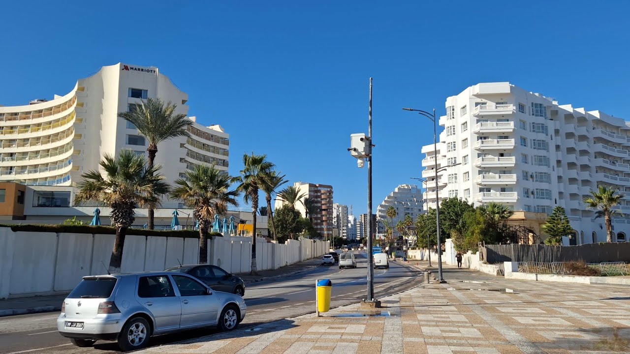 Palm-lined Promenade