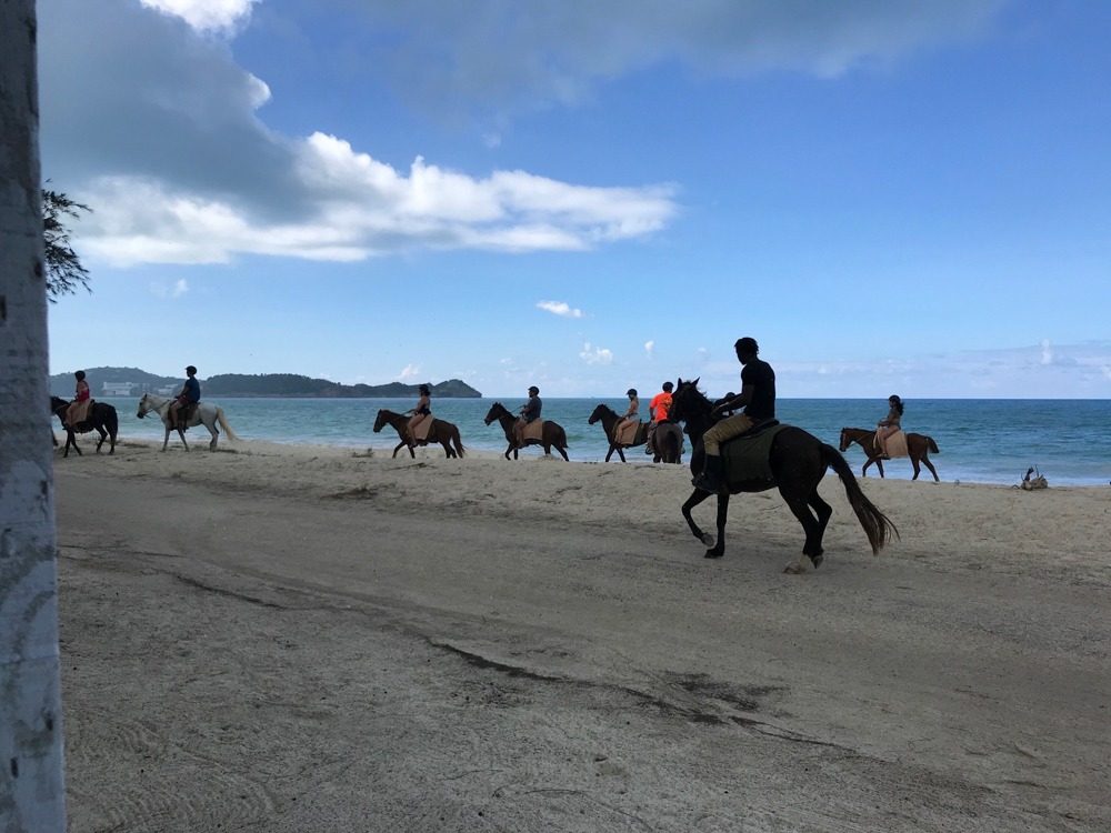 Coastal Equestrian Path