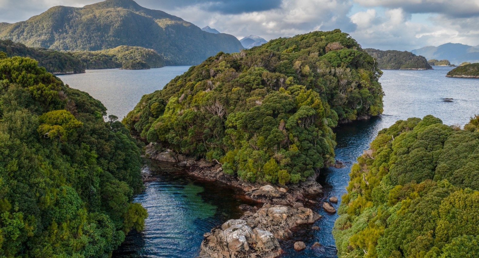 Predator-Free Islands