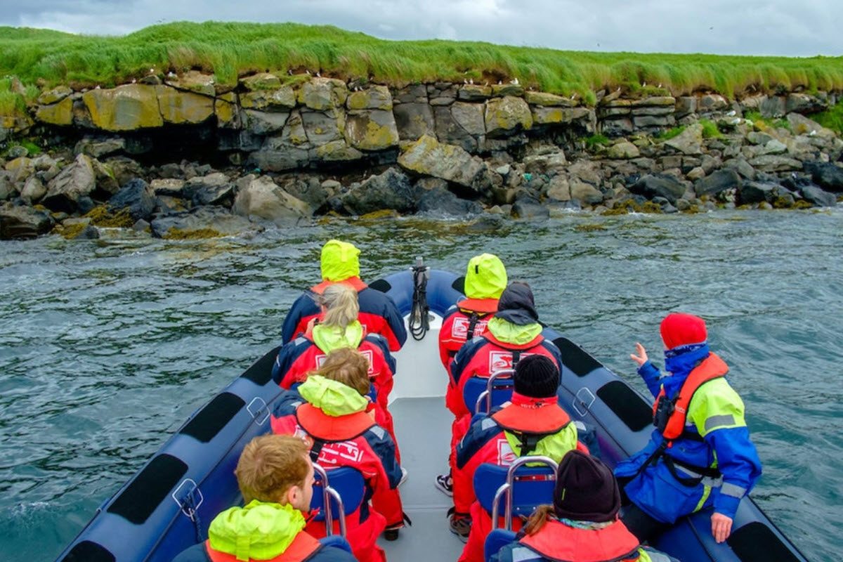 Westman Islands Puffin Boat Tour