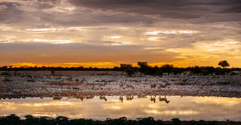 Etosha Pan