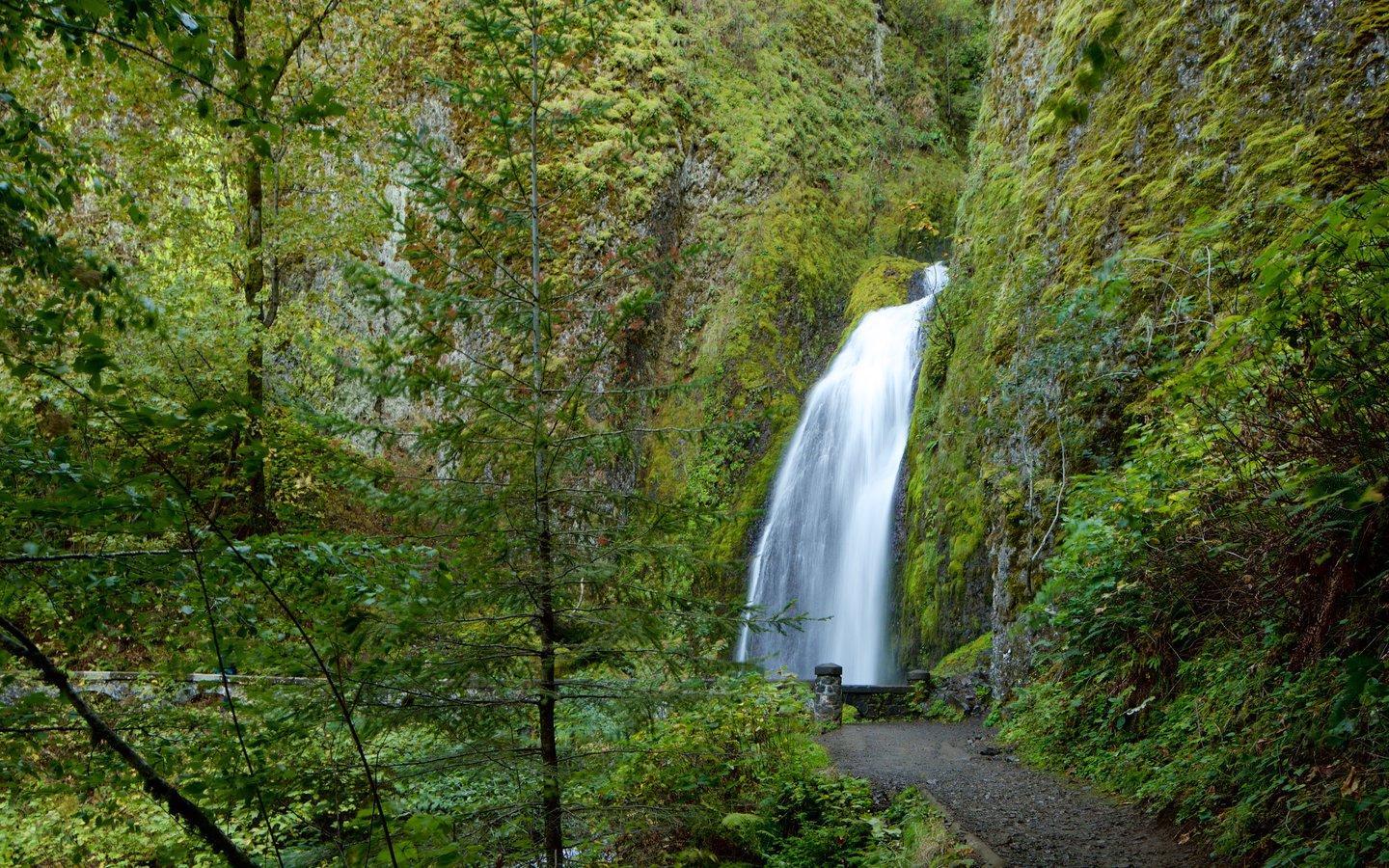 Wahkeena Falls