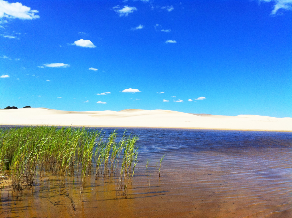 Worimi Regional Park