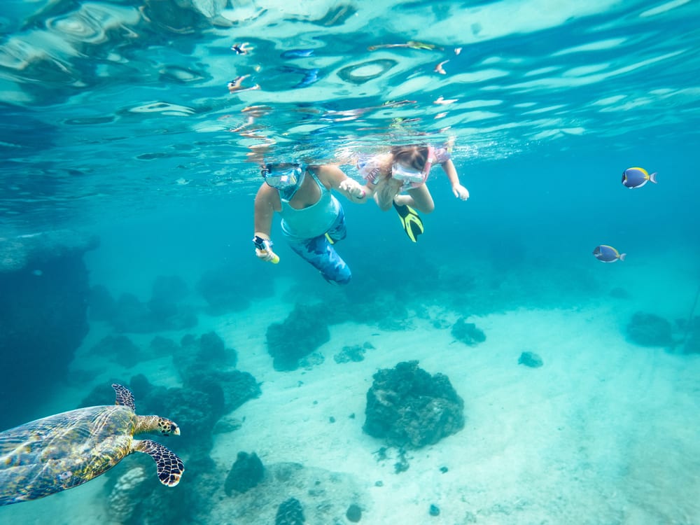 Guided Snorkeling