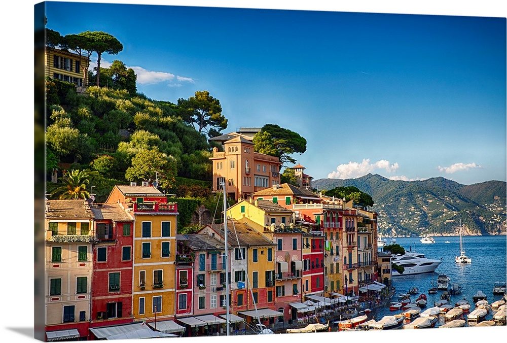Portofino Harbor