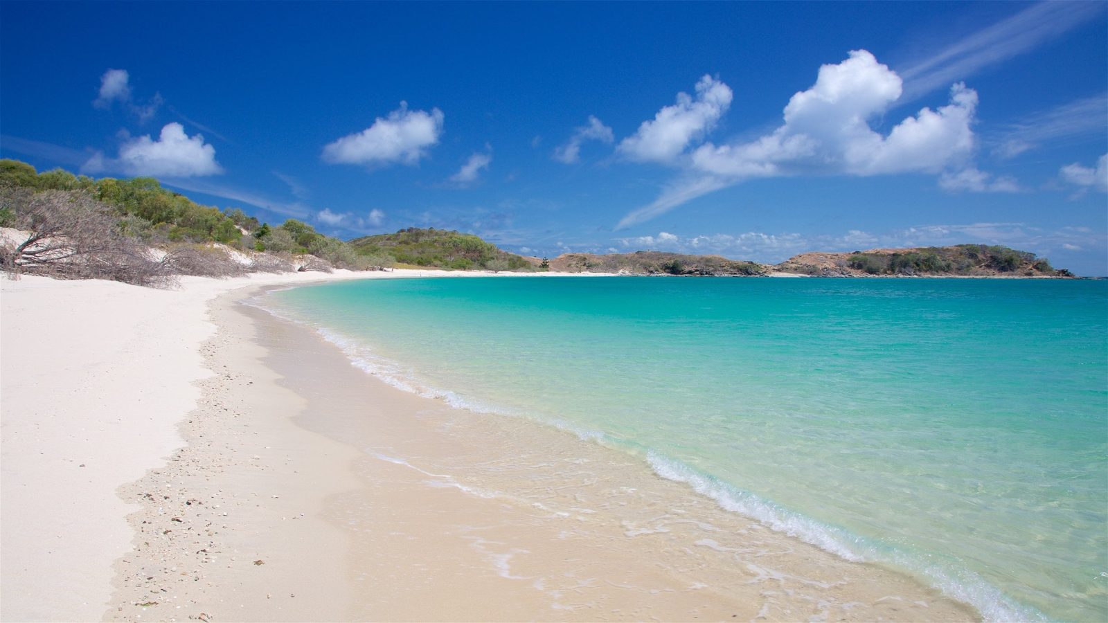 Monkey Beach