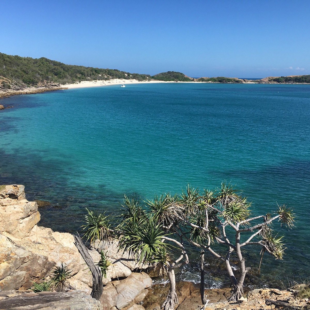Monkey Beach
