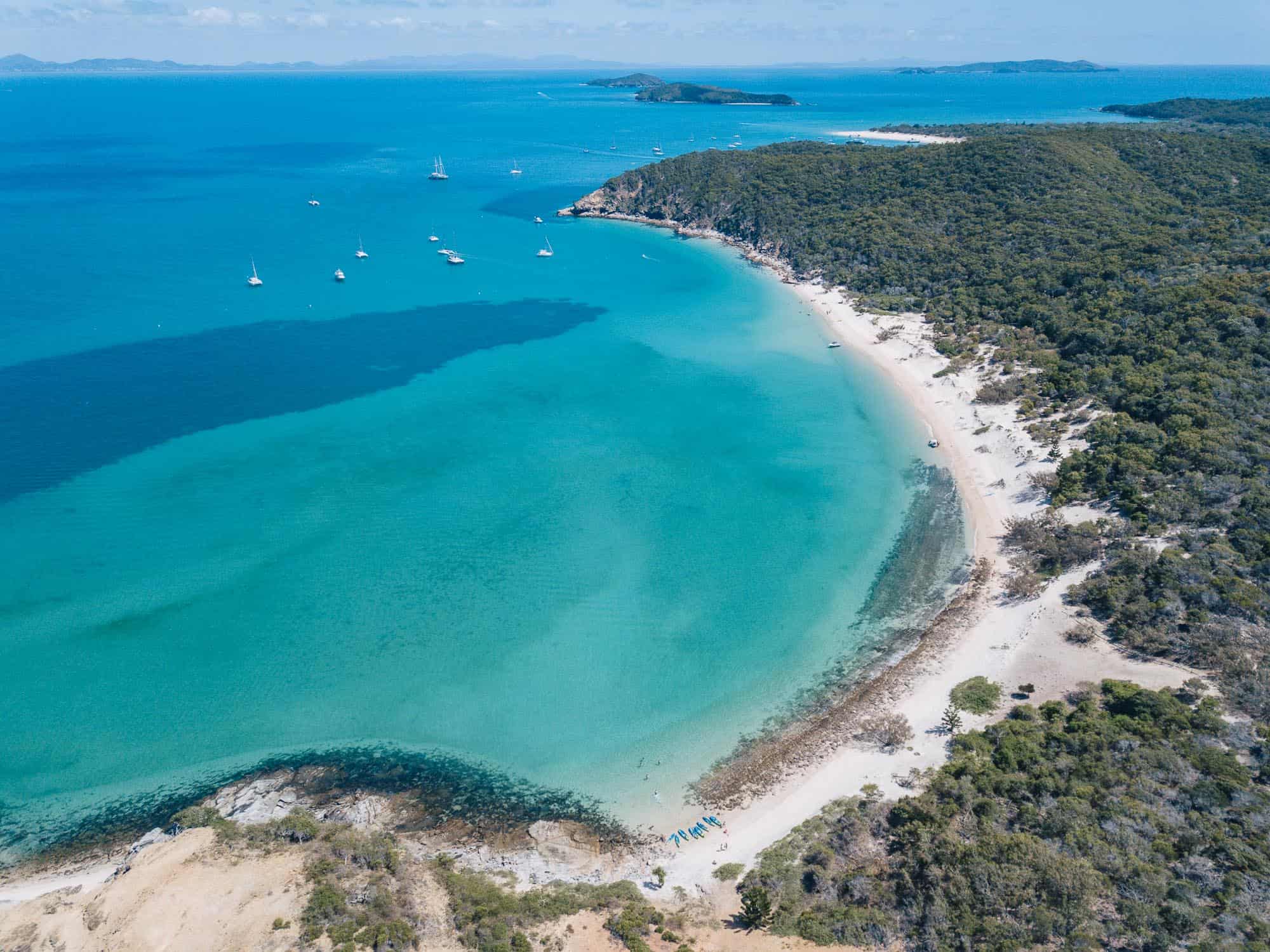 Monkey Beach