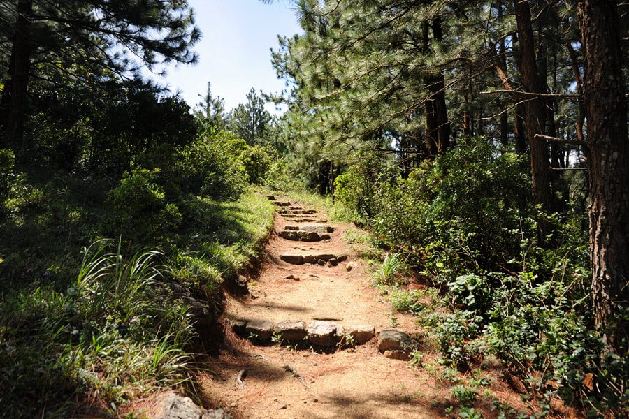 Deanston Nature Trail