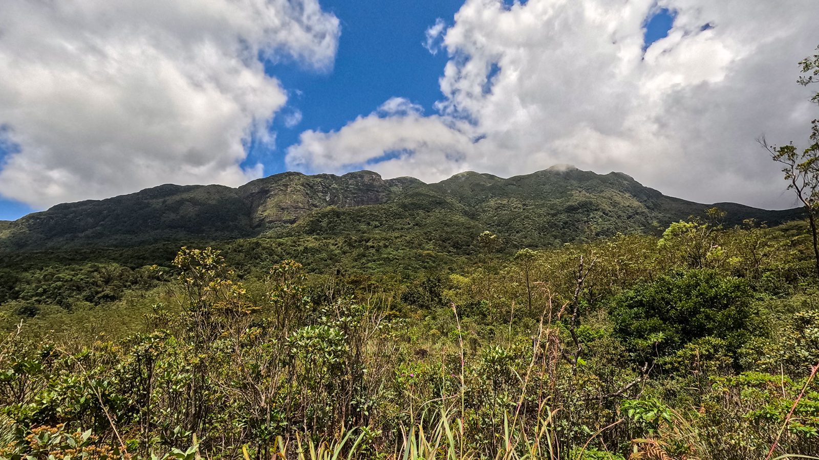 Bambarella Trails