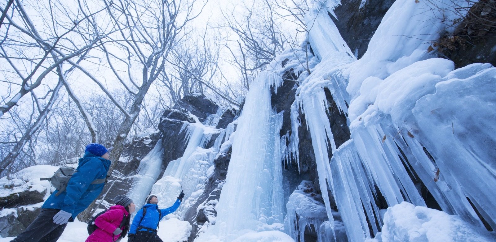 Oirase Gorge Tour Winter