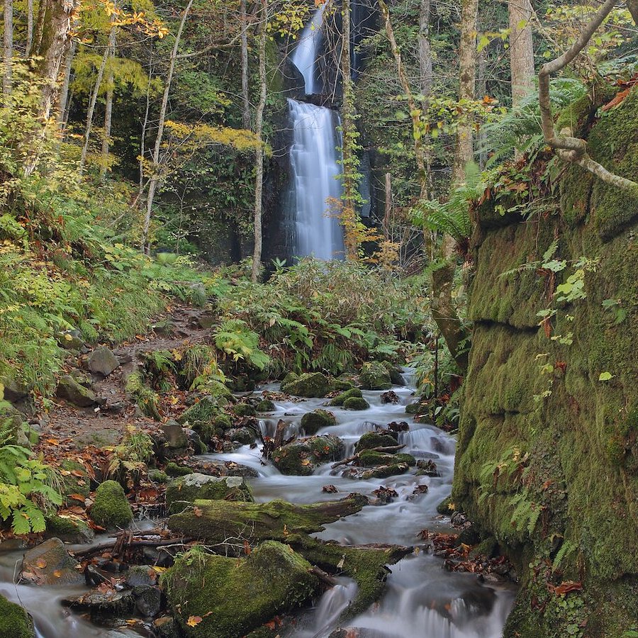 Icefall Trek