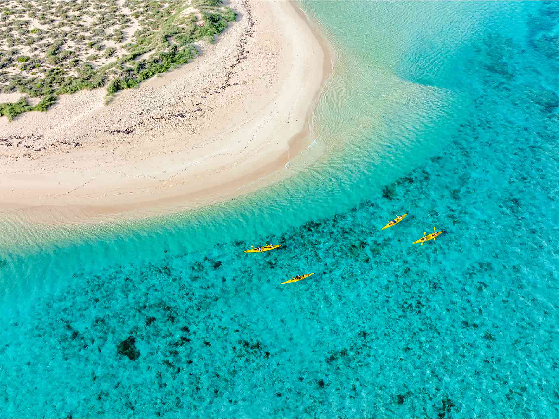 Penguin Island Kayak Rental
