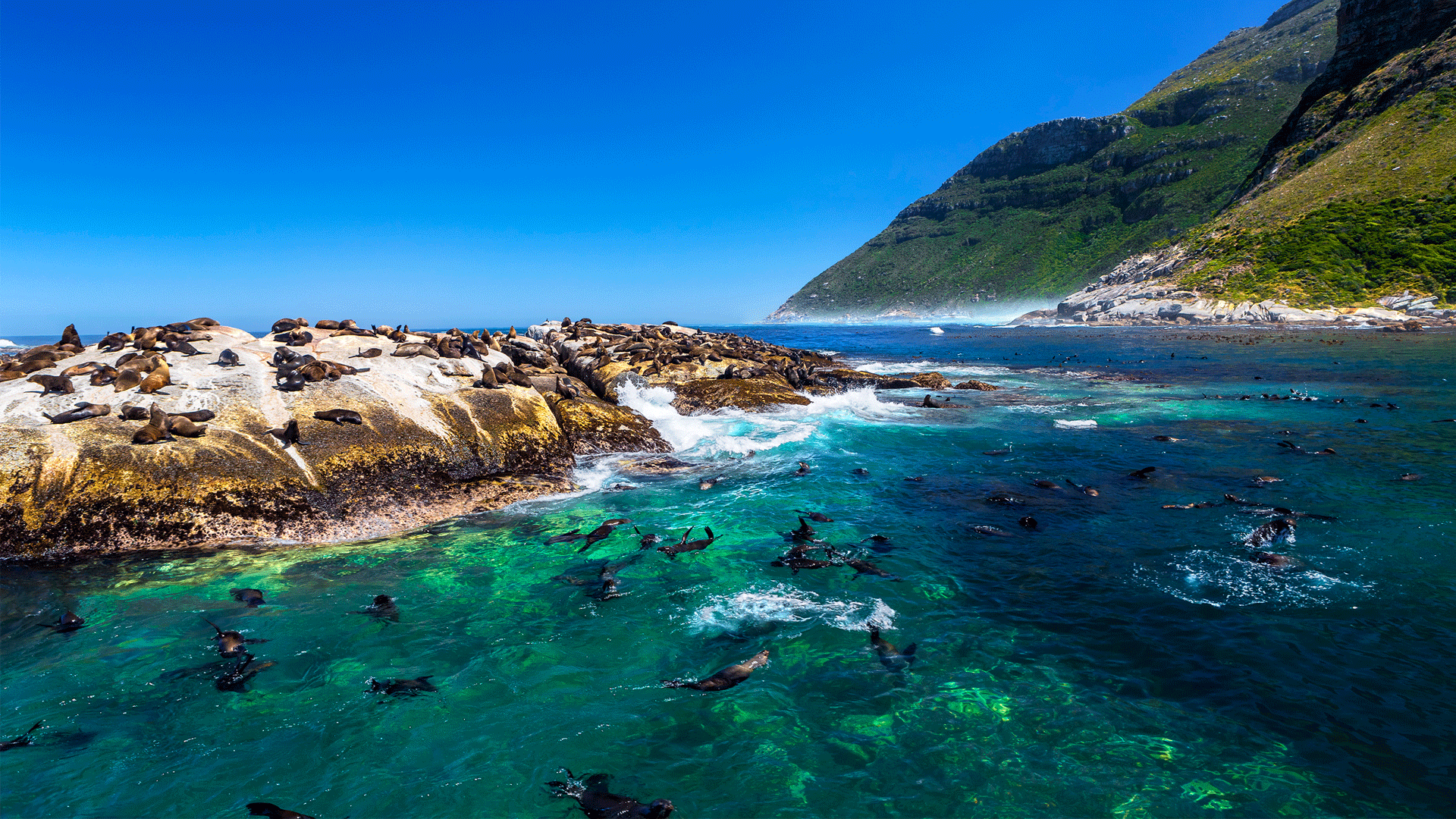 Seal Island