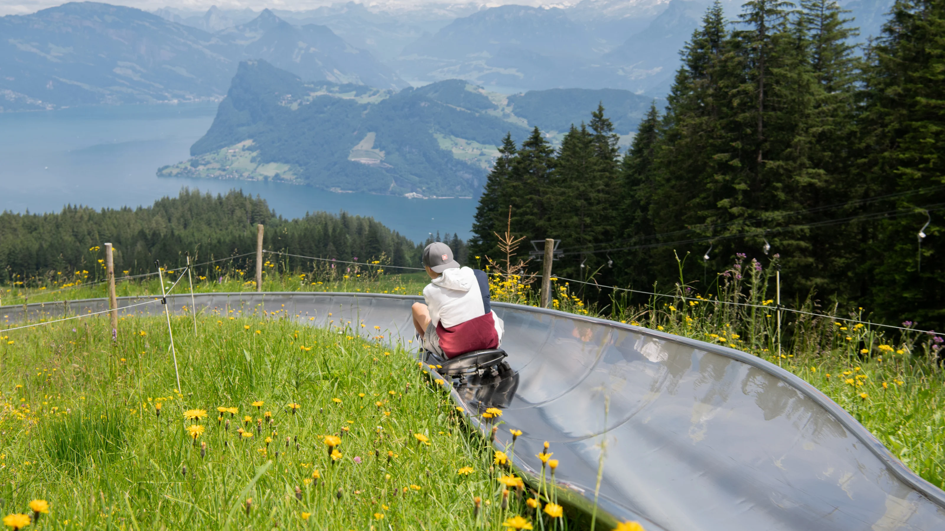 Summer toboggan run