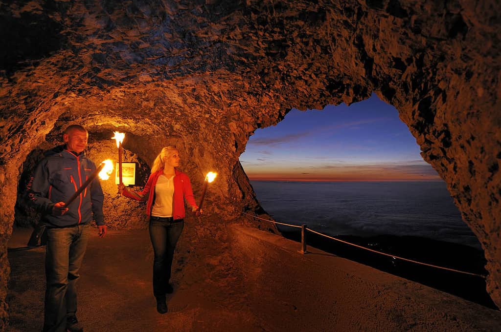 Dragon Path Tunnel Windows