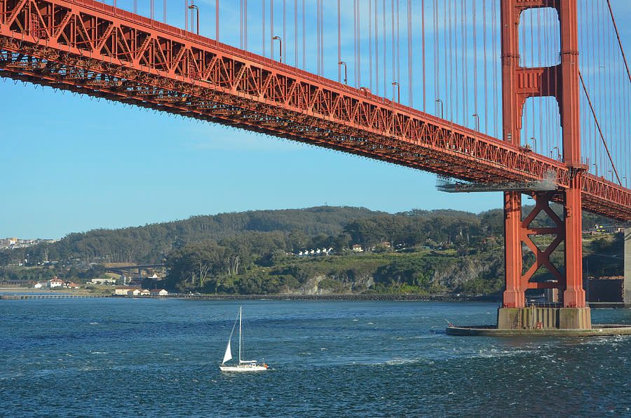 Golden Gate Bridge Boat Cruise
