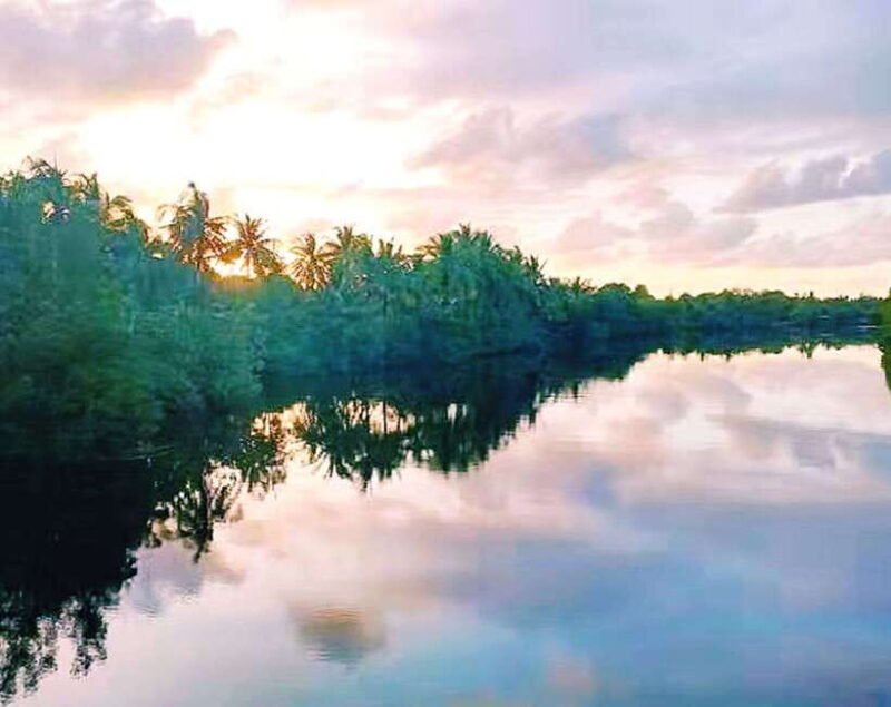 Bongawan Mangrove Forest