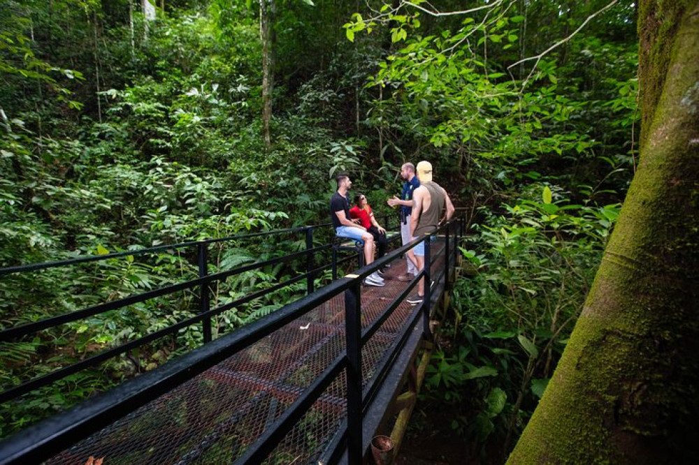 Observation Deck