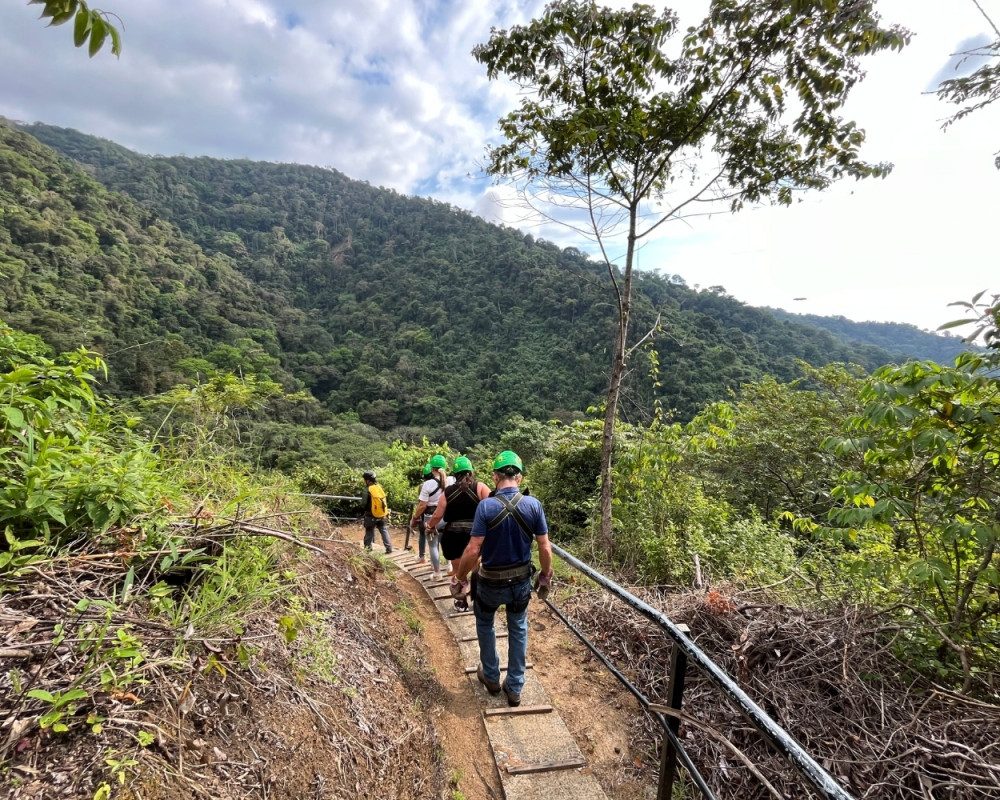 Lower Canopy Trail