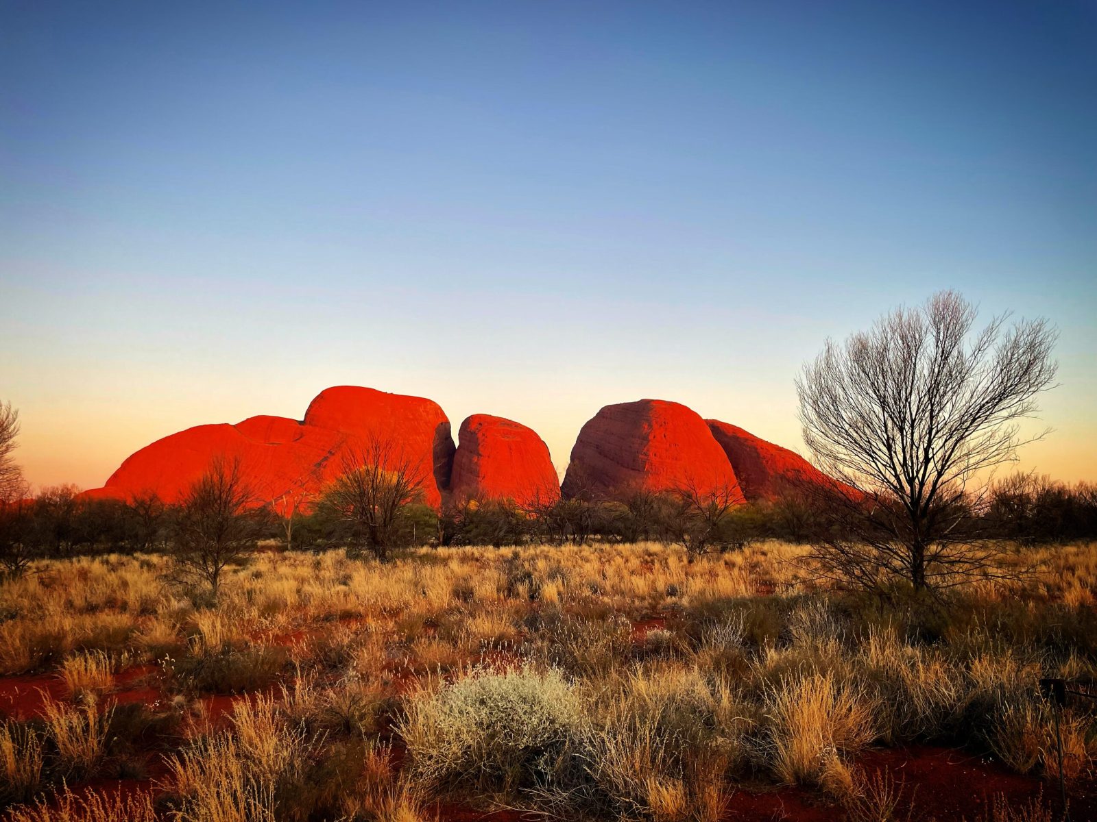 Kata Tjuta (The Olgas)