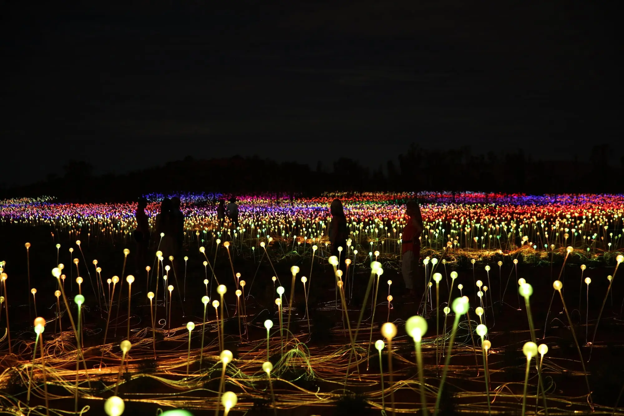 Field of Light Dune Viewing Platform