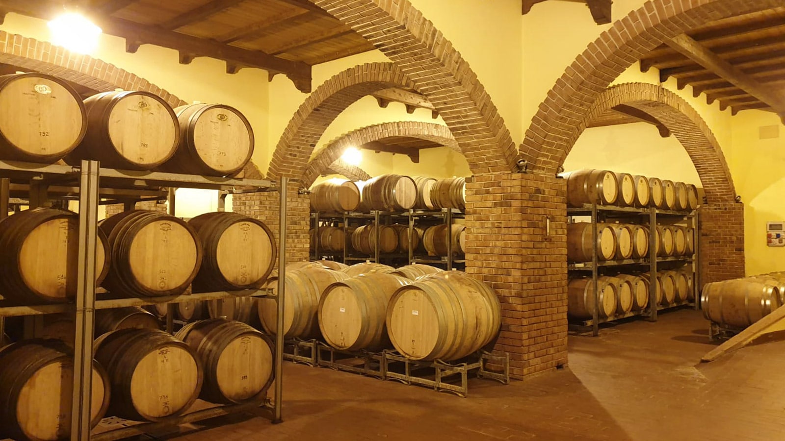 Wine Cellar Barrels