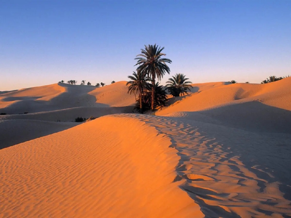 Sand Dune Formations