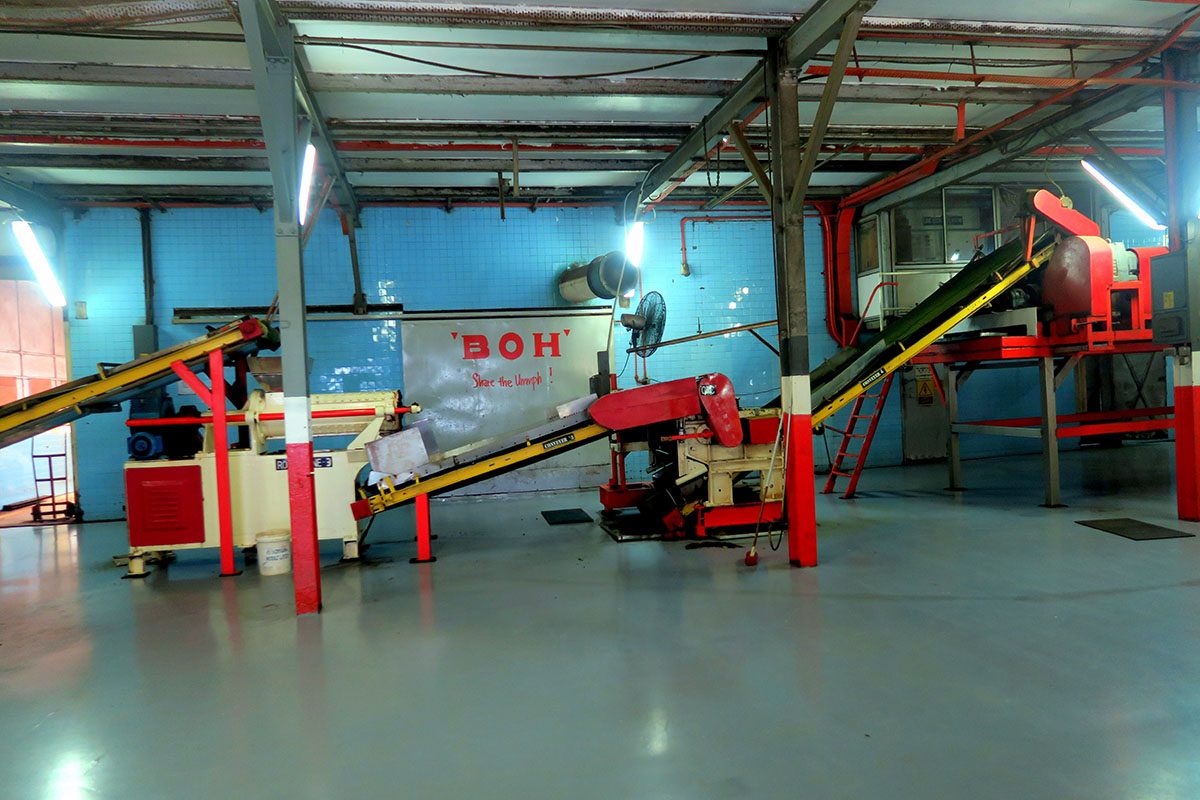 BOH Tea Factory