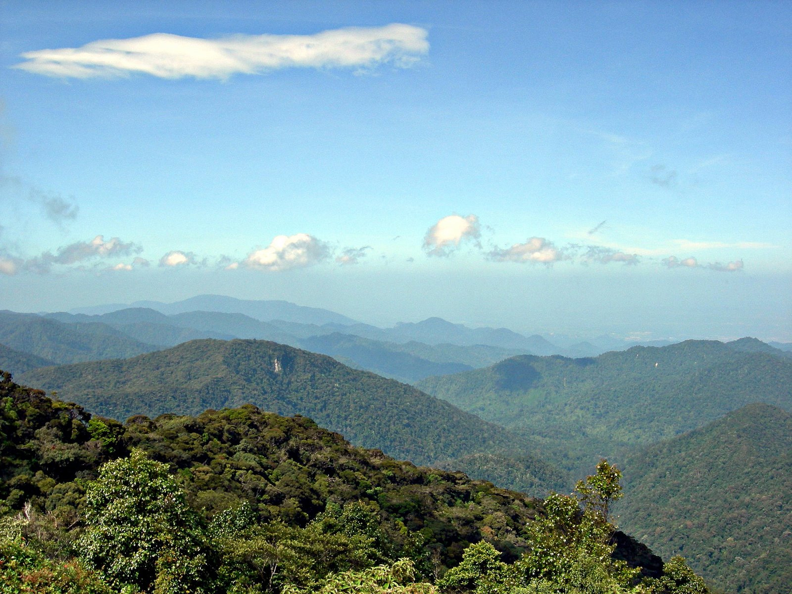 Brinchang Lookout Point
