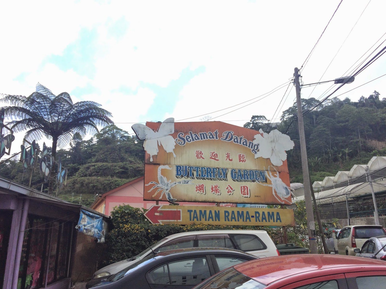 Cameron Highlands Butterfly Garden