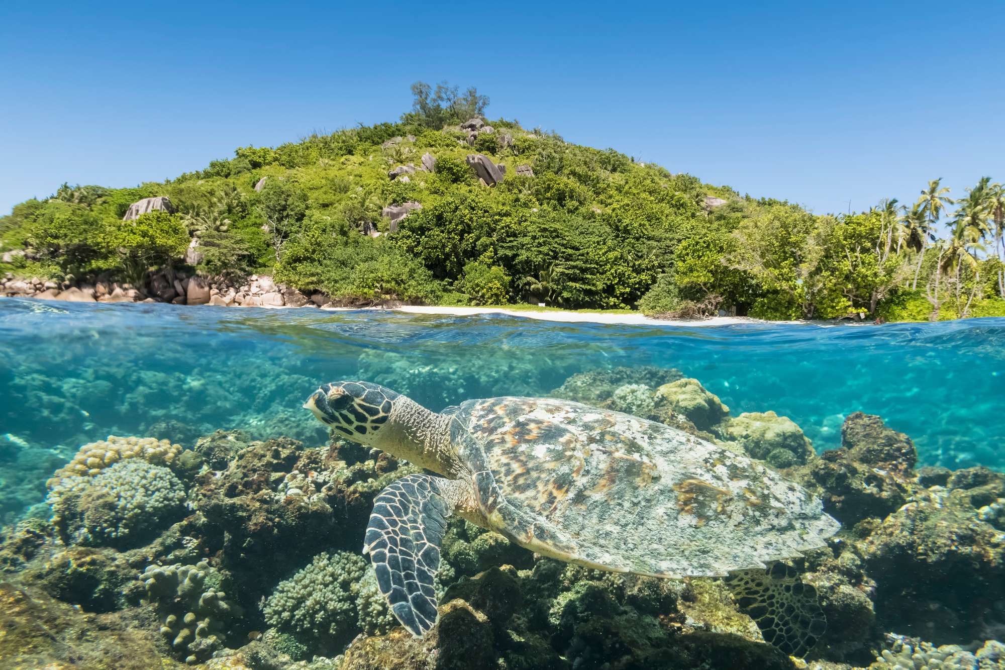 Underwater Observation Windows