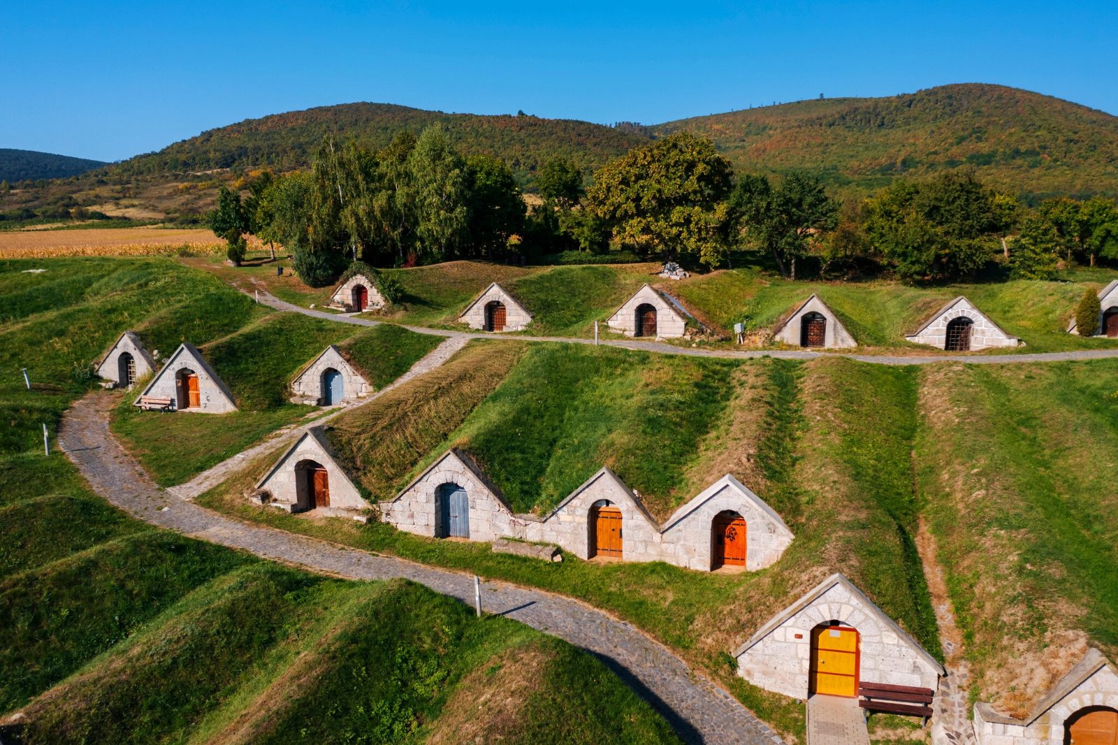 Tokaj Cellar Vaults