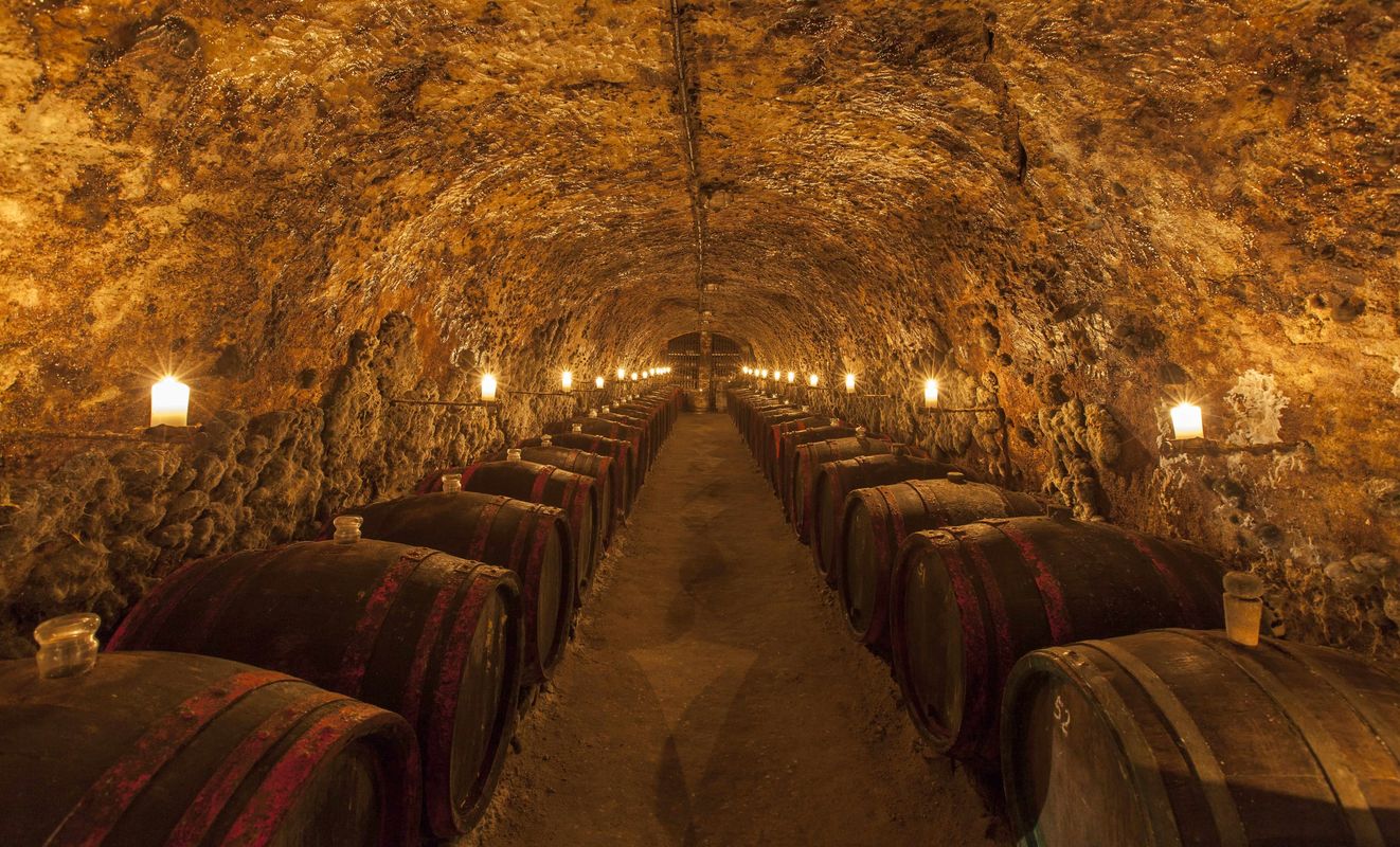 Tokaj Wine Tasting Budapest
