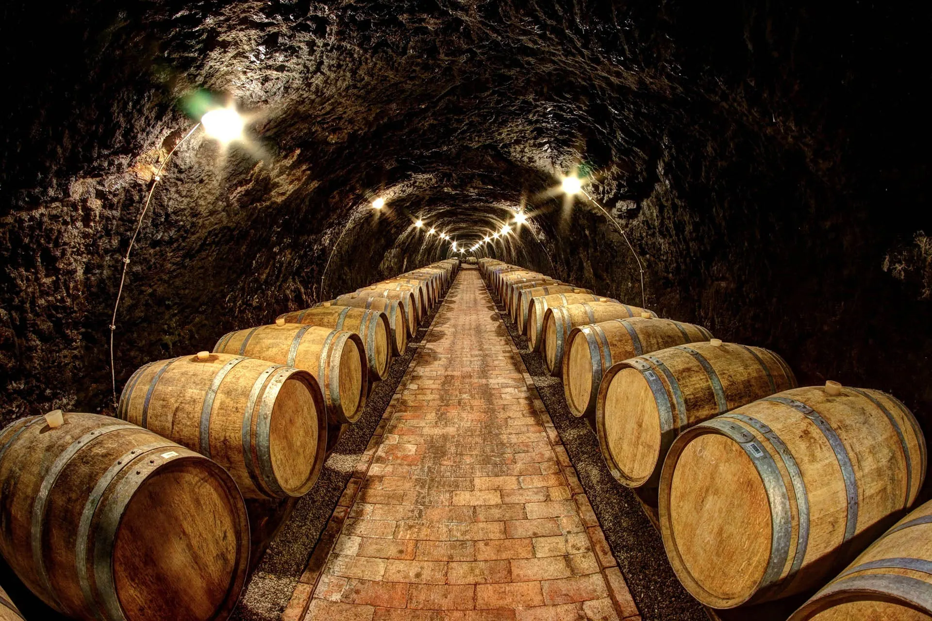 Cellar Tour