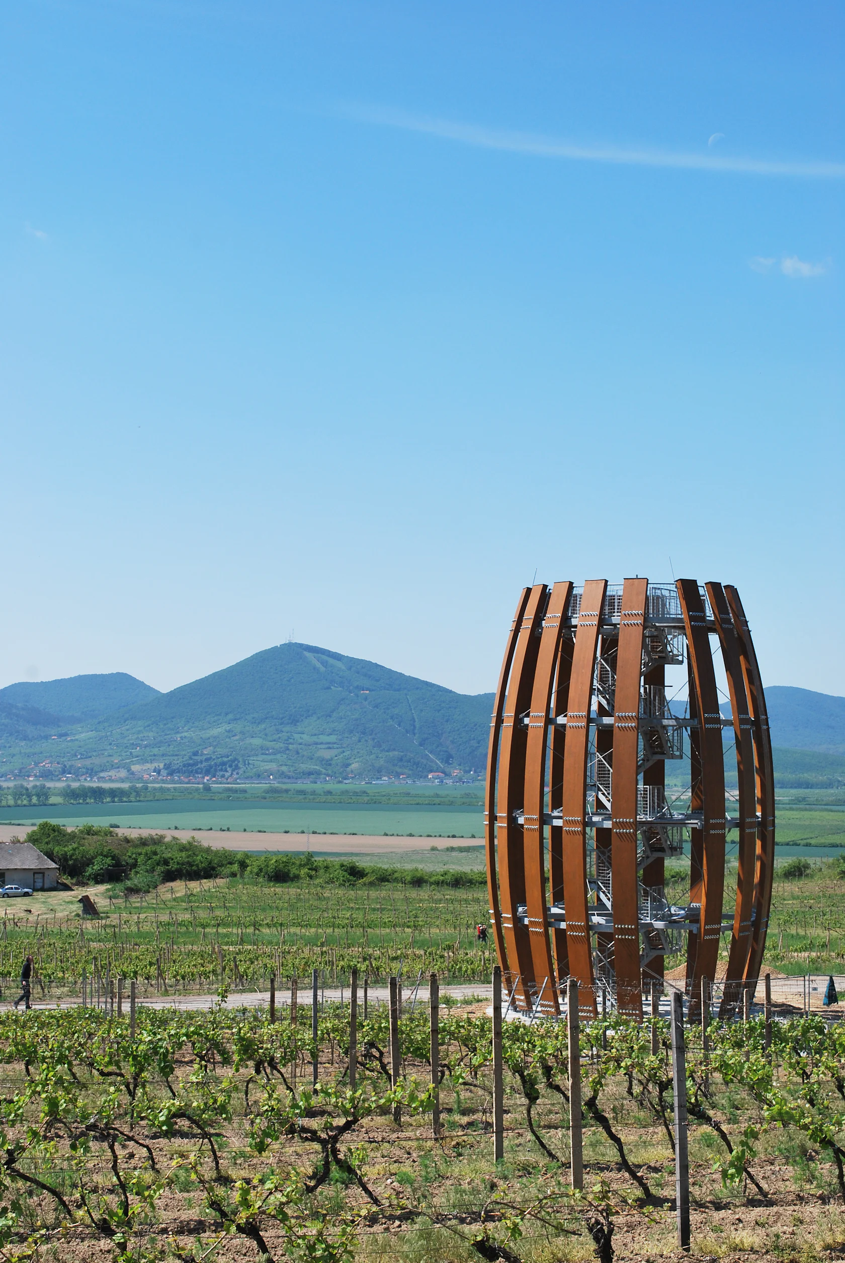 Tokaj Hill Viewpoint