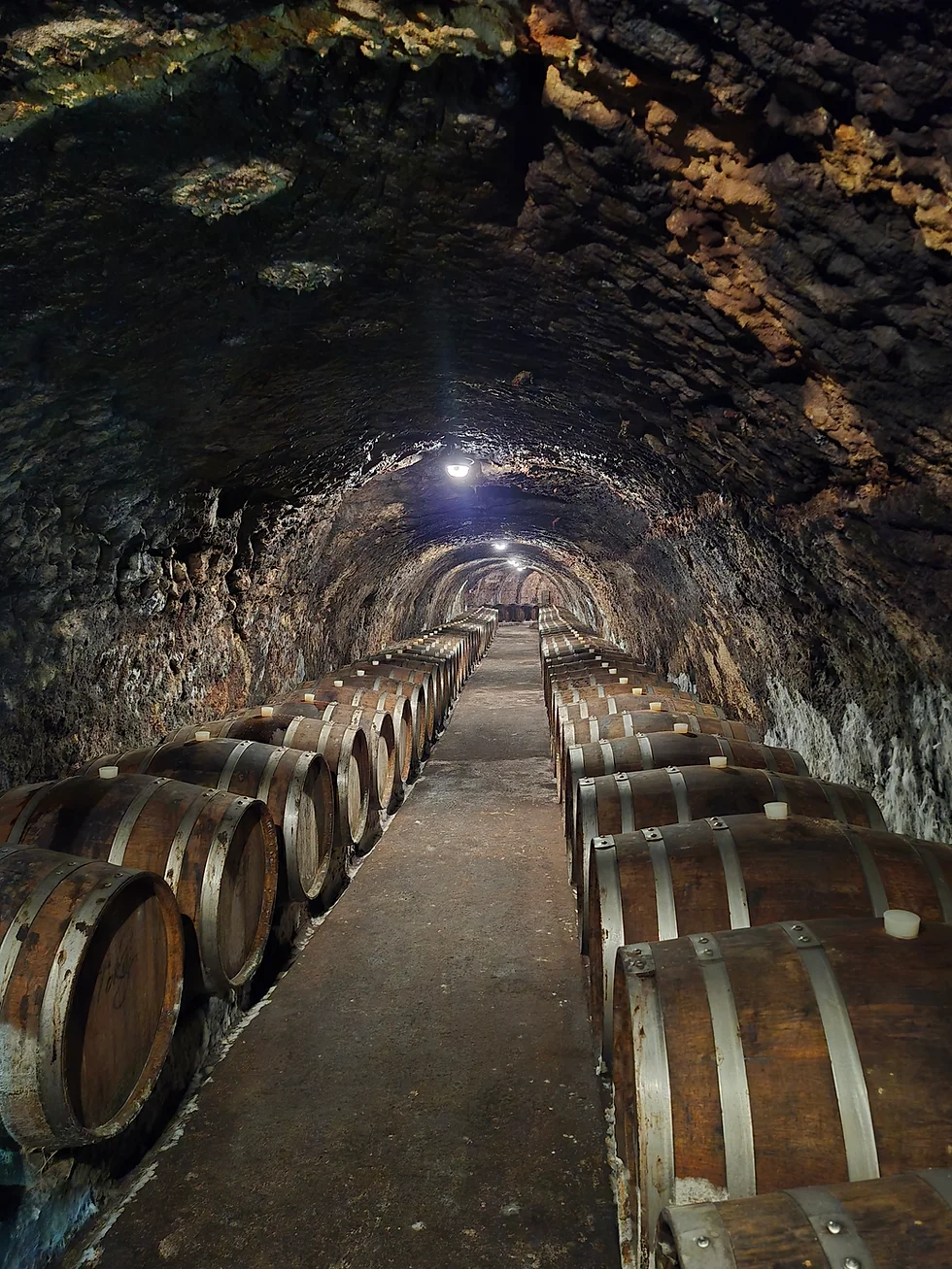 Historic Wine Cellars