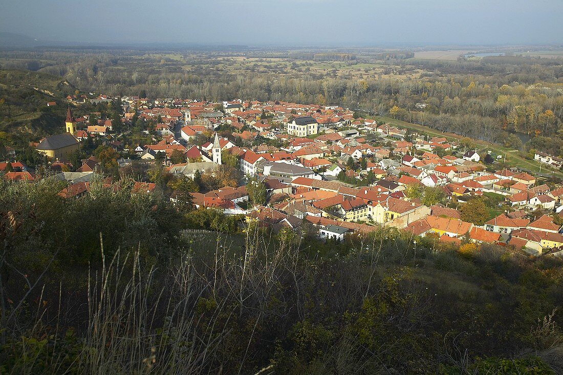 Tokaj Town Square