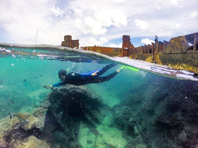 Snorkel nos Naufrágios de Tangalooma