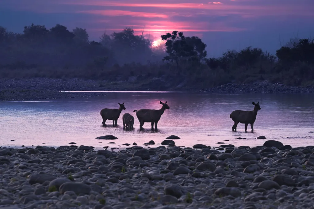 Seme River Crossing