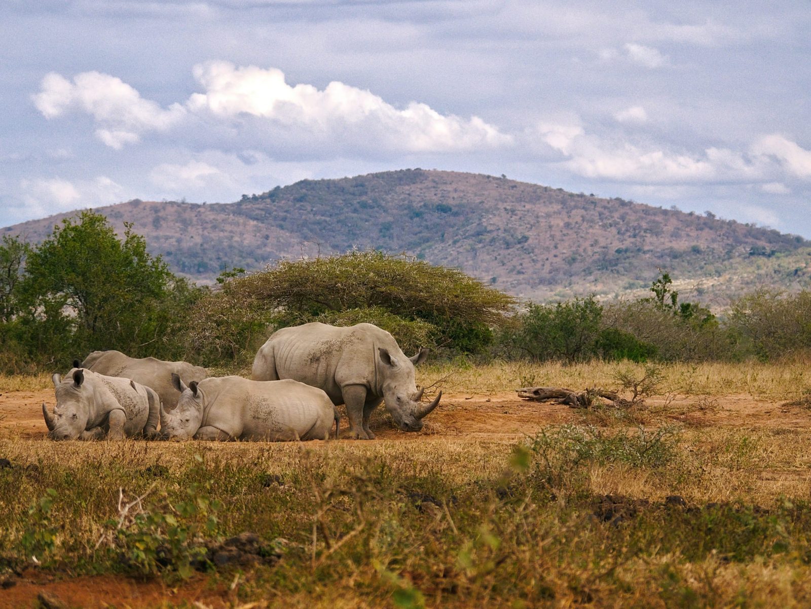 iMfolozi Sector