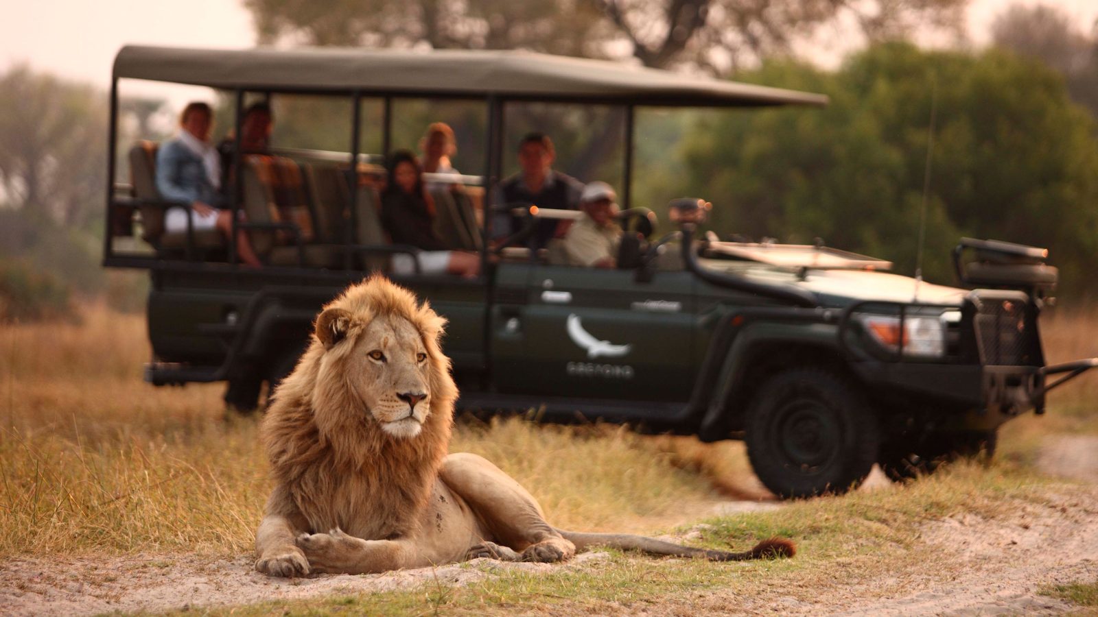 Morning Game Drive