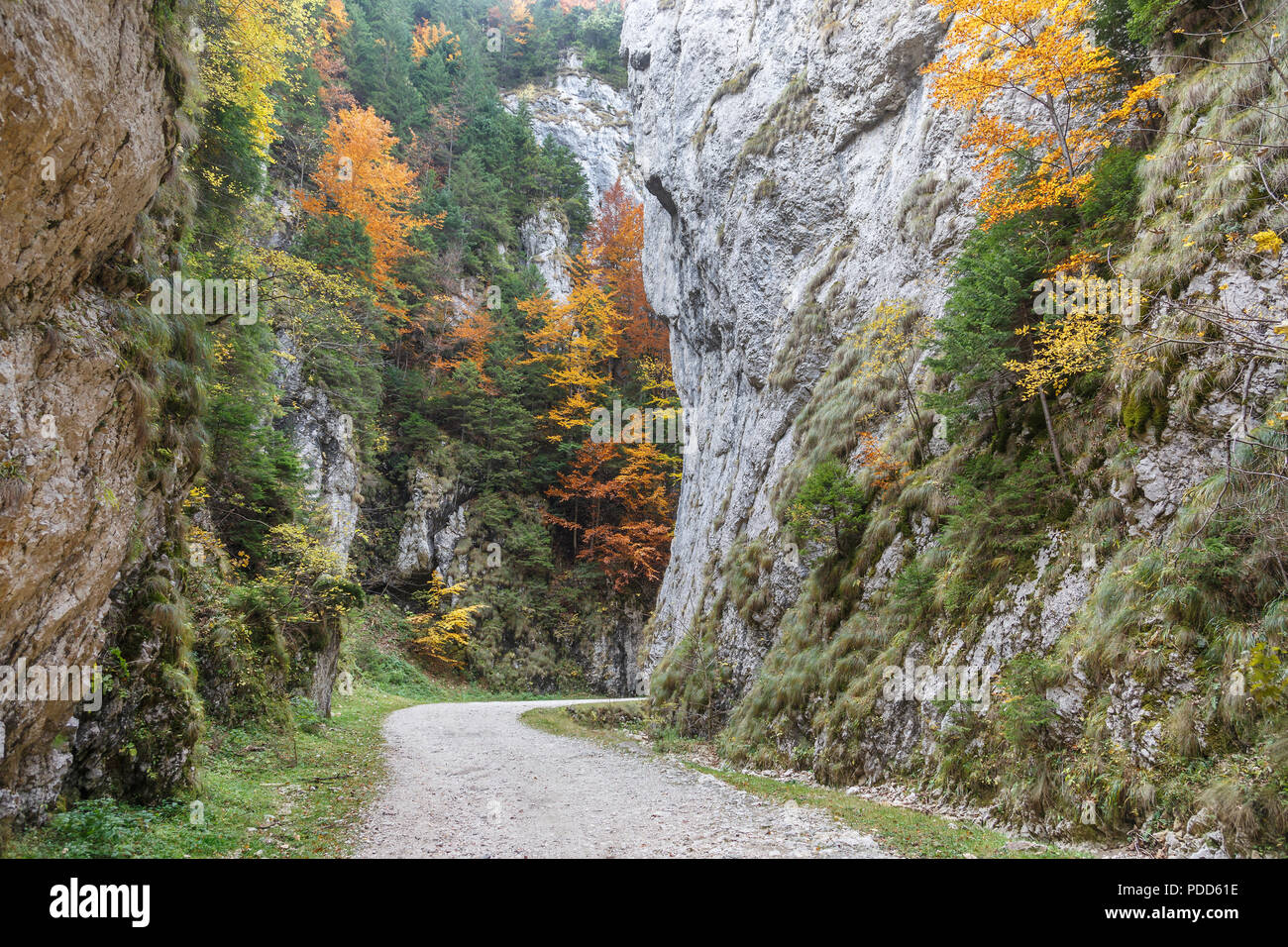 Bran Gorge Viewpoint